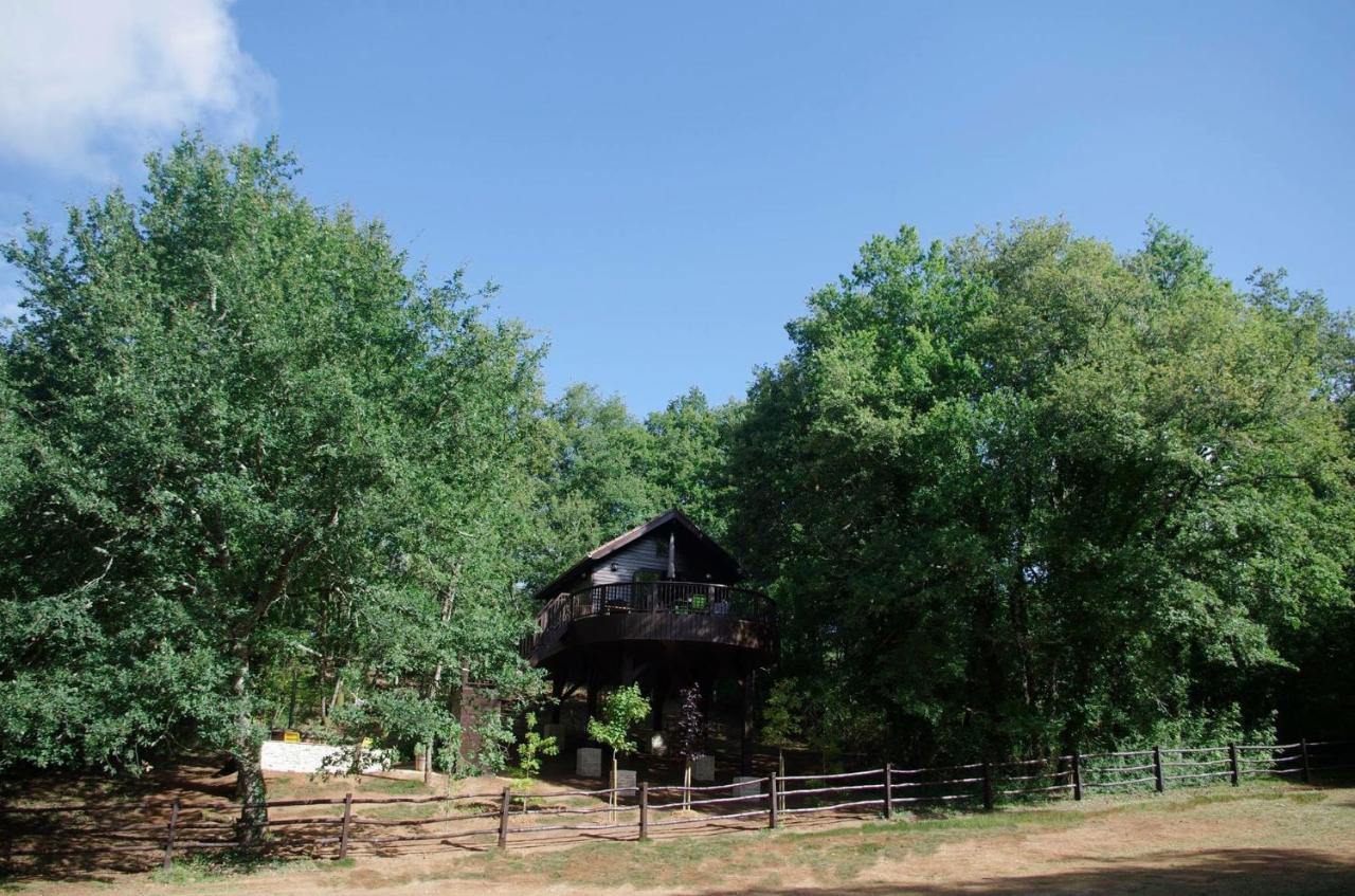 Cabane de La Mésange Auriac-du-Périgord Exterior foto